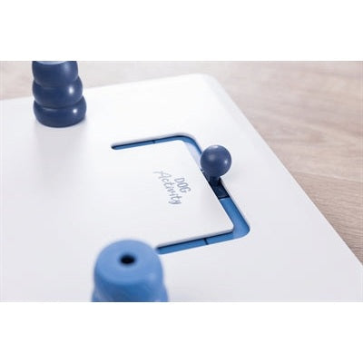 Trixie Dog Activity Move2Win Hondenspel