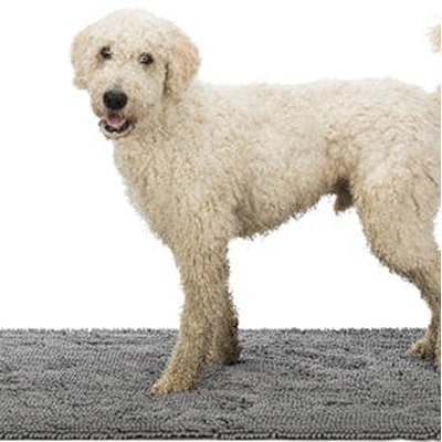 Trixie Schoonloopmat Waterdicht Grijs