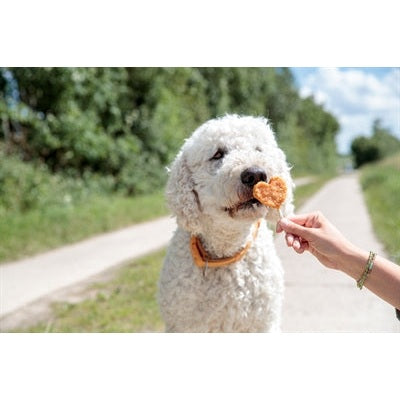 Trixie Premio Lolly Met Kip En Rijst