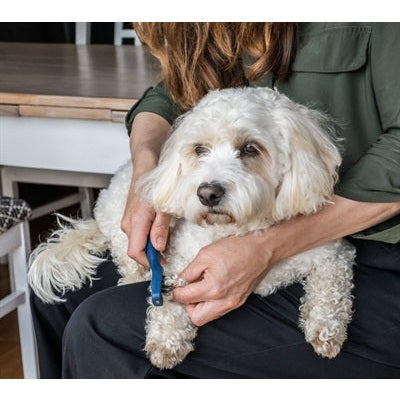 Mikki Doodle De-Matter