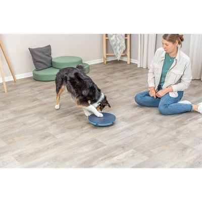 Trixie Dog Activity Rocking Maze Kunststof