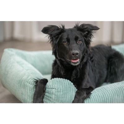 Trixie Hondenmand Vital Jonna Ribfluweel Saliegroen