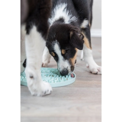 Trixie Junior Likplaat Mintgroen