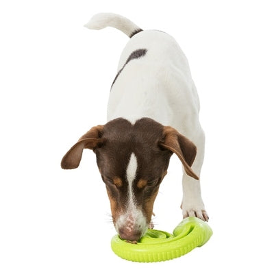 Trixie Snack-Slang Tpr Opgerold