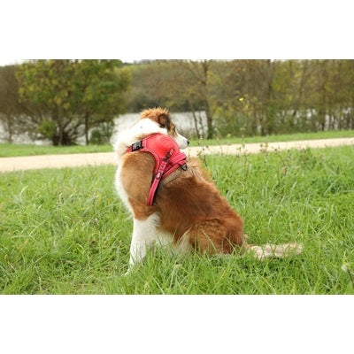 Zolux Easyride Hondentuig Rood